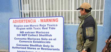 Instalarán 11 letreros que advierten riesgos de marea roja